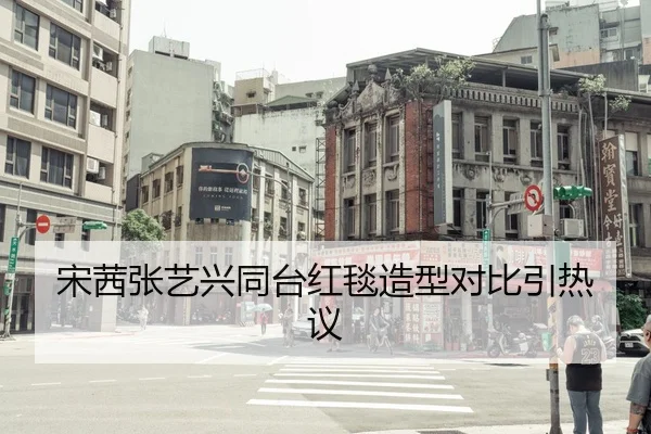 song-qian-zhang-yi-xing-tong-tai-hong-tan-zao-xing-dui-bi-yin-re-yi-2-166.jpg